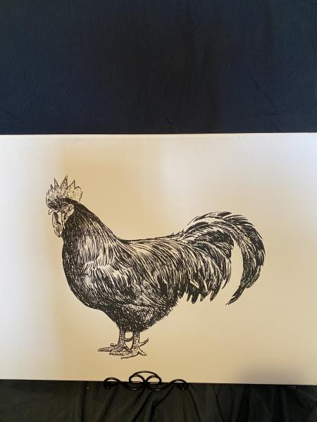 Black and White Rooster picture