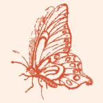 PapillonRougeStudio