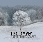 Lisa Lammey Fine Arts