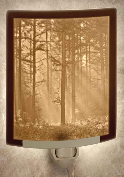 Night Light - Porcelain Lithophane "Woodland Sunbeams",nature, forest, sunray themed plug in accent light picture