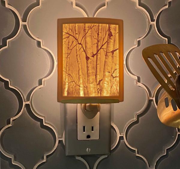 Tree Night Light - Porcelain Lithophane "Birch Trees" nature, tree, forest, woods themed wall plug in accent light picture