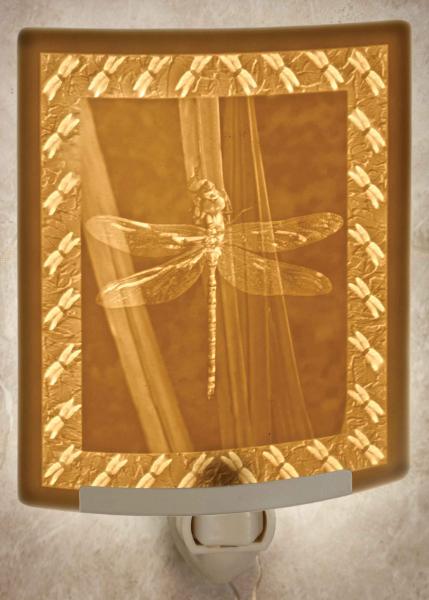 Night Light - Porcelain Lithophane "Dragonfly" insect, bug, good luck, nature themed wall plug in accent light picture