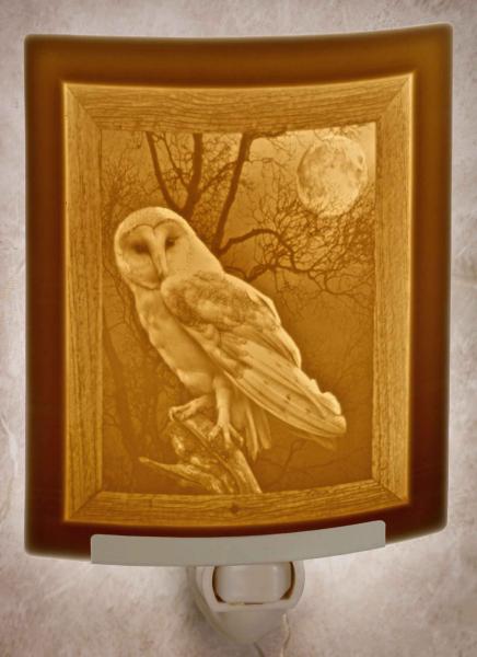 Owl Night Light - Porcelain Lithophane plug in nature and bird themed accent light picture