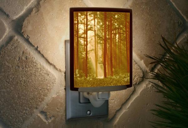 Night Light - Porcelain Lithophane "Woodland Sunbeams" Colored tree, nature, forest, sunray themed plug in accent light