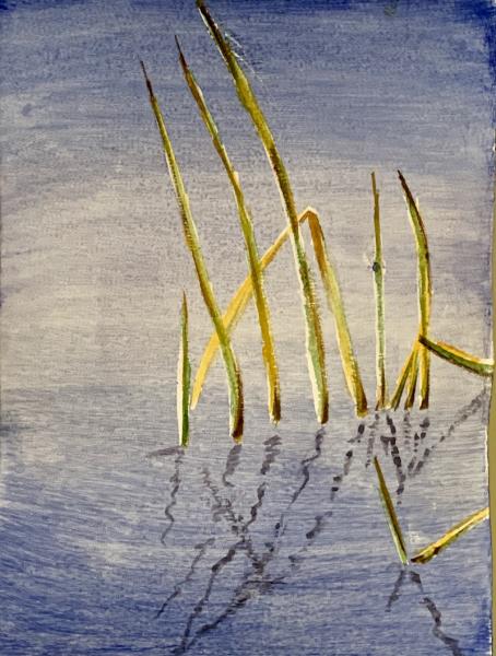 Glowing Reeds