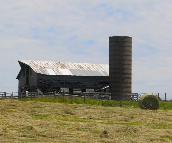 On the Farm picture