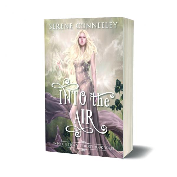 Into the Air: Storm Book 3 picture