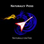 Naturalcy Picks  & Modernish Jewelry