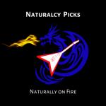 Naturalcy Picks - Modernish Jewelry