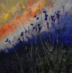 Prairie Flowers