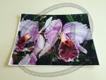 Orchids placemat