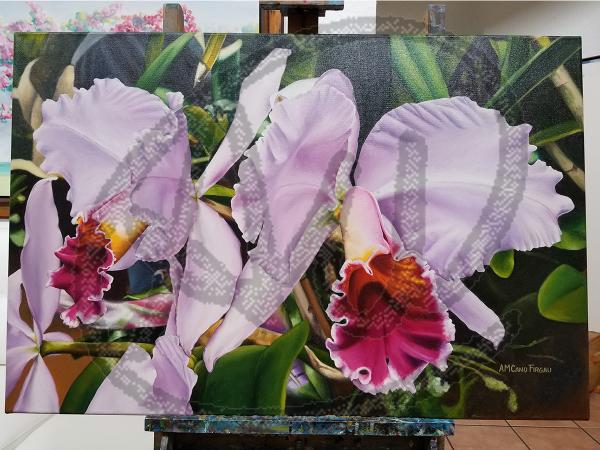 Orchids oil on canvas picture