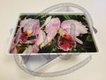 Orchids small plastic box