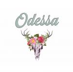 Odessa Leather Goods