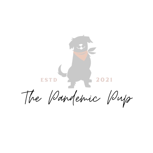 The Pandemic Pup