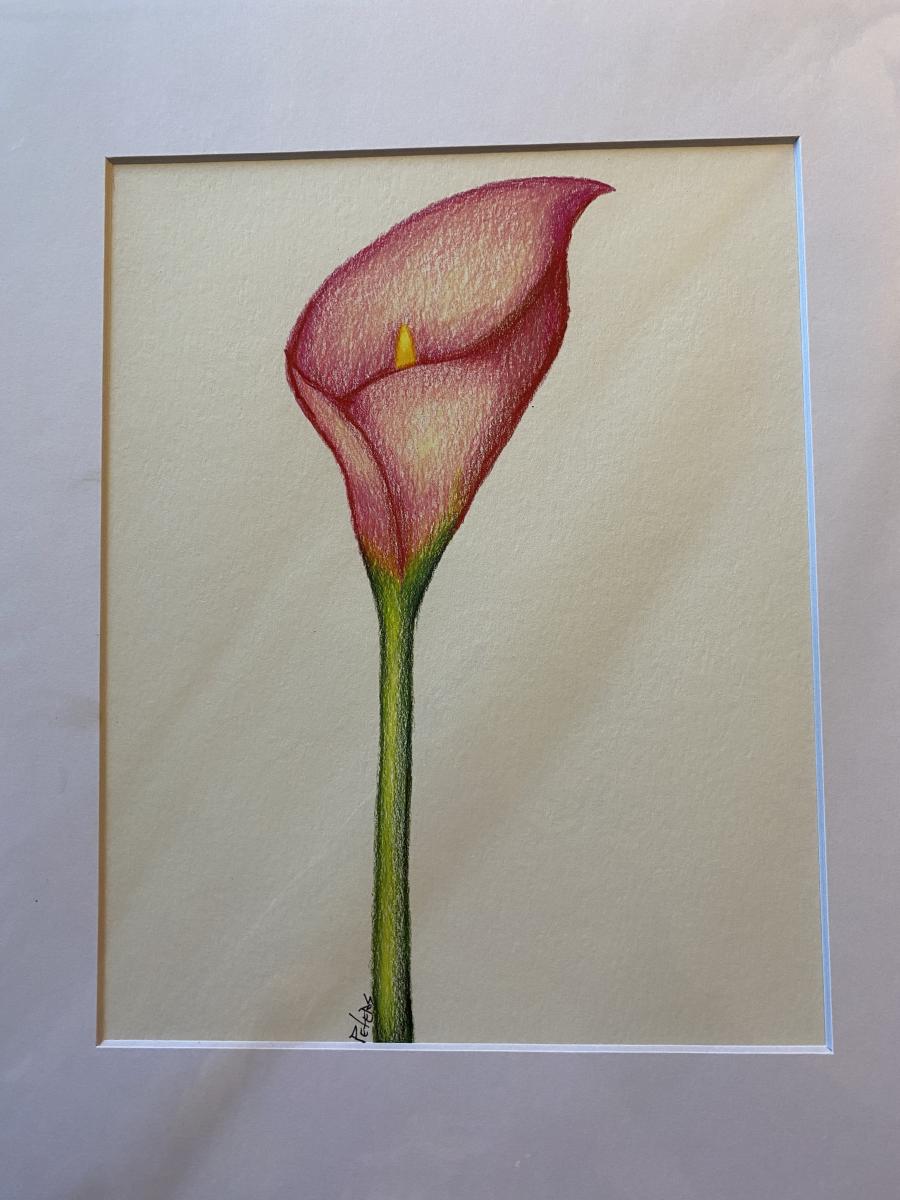Colored Pencil Drawings picture