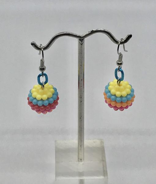 Colorful Berry/Black Earrings