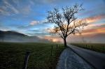 Cades Cove Sunrise