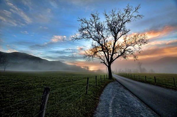 Cades Cove Sunrise picture