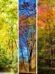 Abstract Fall Grouping