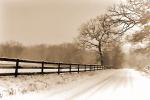 Snowstorm Travel