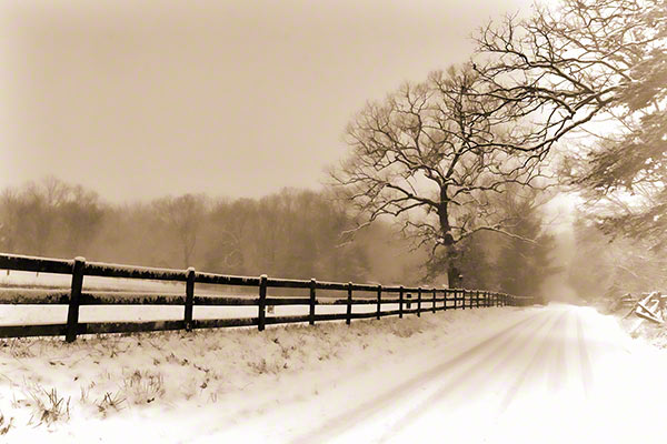 Snowstorm Travel