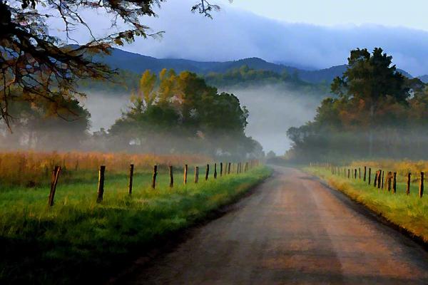 Into the Fog