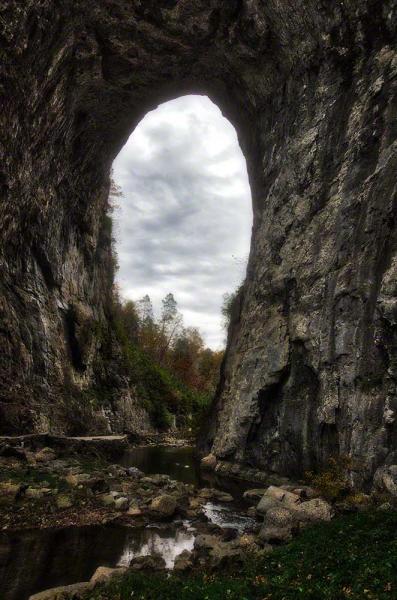 Through the Bridge picture