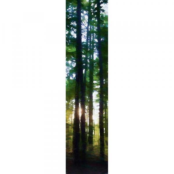 Woods at Sunset picture