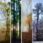 Muted Seasons Grouping