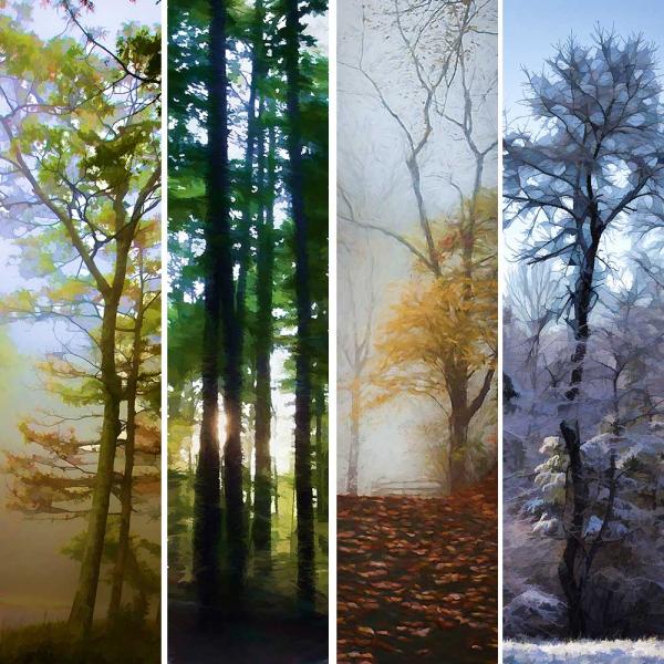 Muted Seasons Grouping