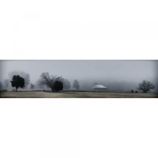 Foggy Day on the Farm