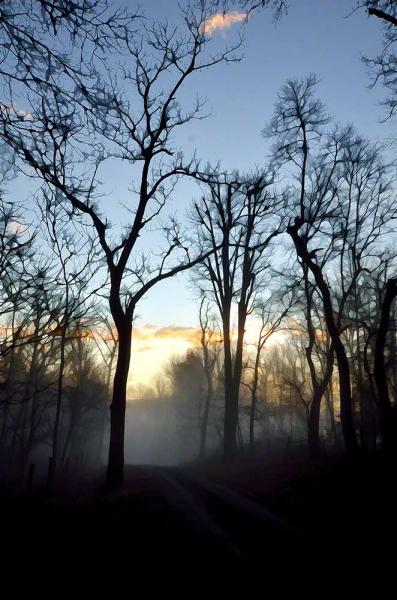 Fog at Sunrise