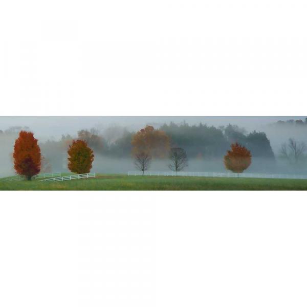 Fall Fog picture