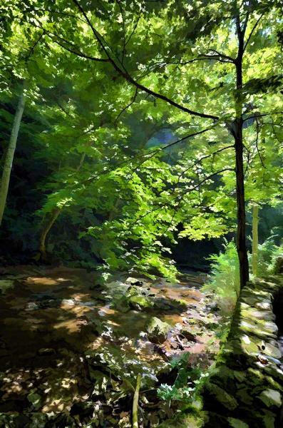 Rock Wall Stream picture