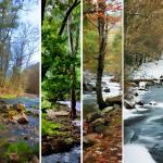 Seasonal Streams Grouping