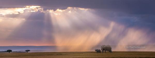 Mother's Little Sunshine (Pano)