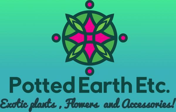 Potted Earth  etc   Rare house plants /earth friendly accessories