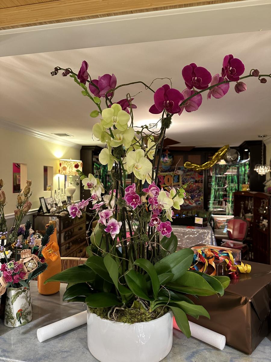 Delray pineapple Lilly  pot bestseller picture