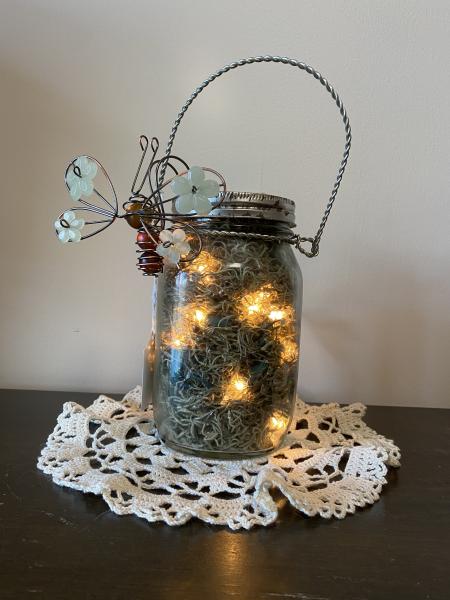 Firefly jar