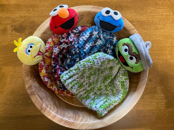 Sesame Street Hat: sizes fit 6-24 month old picture