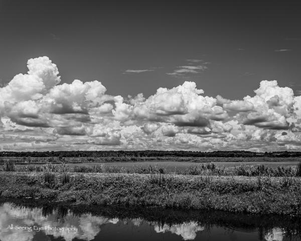 Kissimmee Prairie in Infrared picture