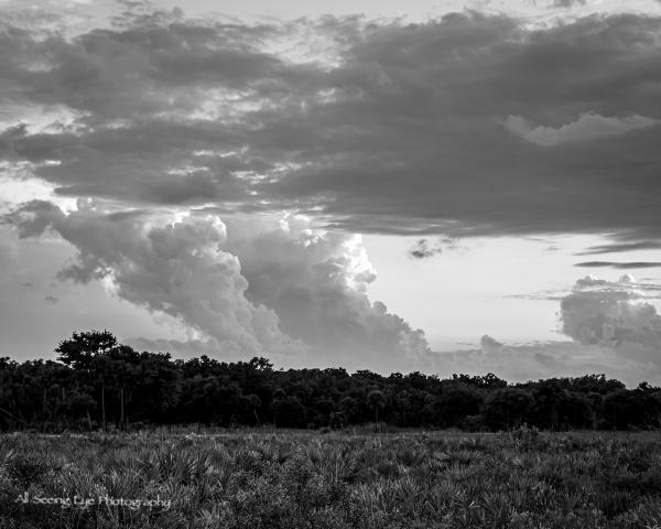 Kissimmee Prairie Clouds picture