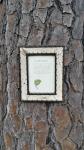 4x6 Birch Bark Picture Frame