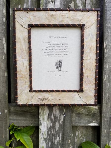 8" x 10" Birch Bark Picture Frame