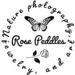 Rose Peddles