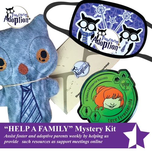 Help A Family - Mystery Kit