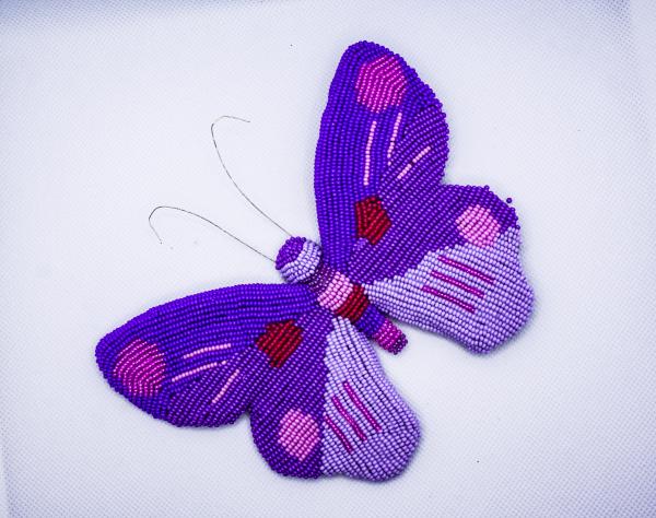 Flutter Butterfly