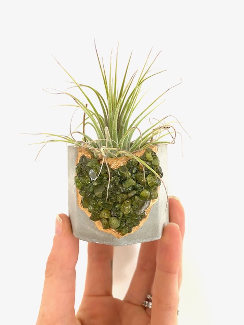 Peridot Crystal Concrete Planter with Air Plant - Octagon