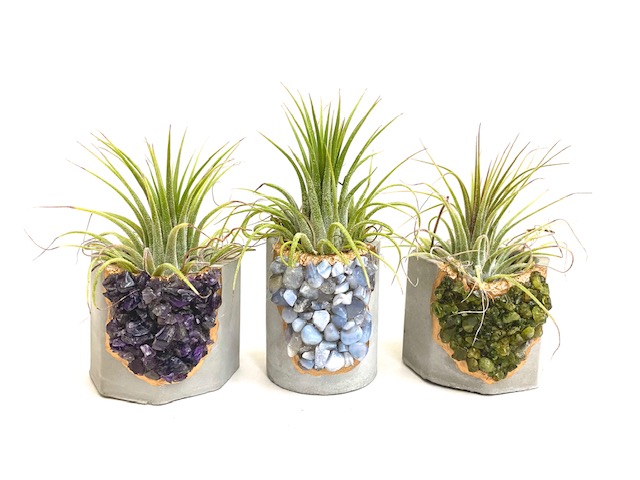 Peridot Crystal Concrete Planter with Air Plant - Round picture